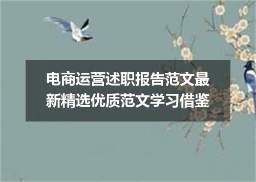电商运营述职报告范文最新精选优质范文学习借鉴