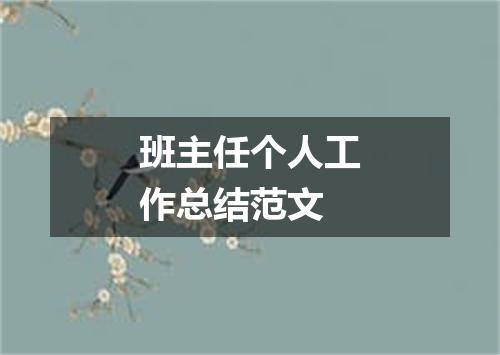 班主任个人工作总结范文