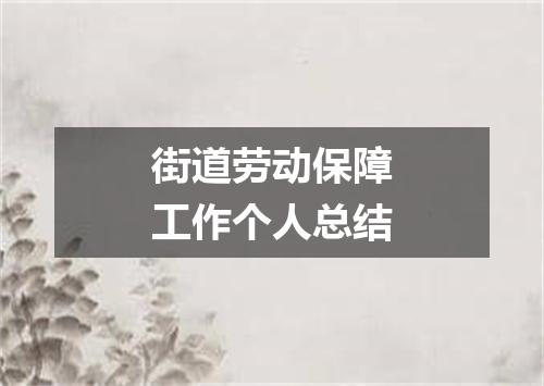 街道劳动保障工作个人总结
