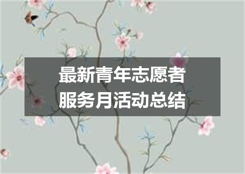 最新青年志愿者服务月活动总结