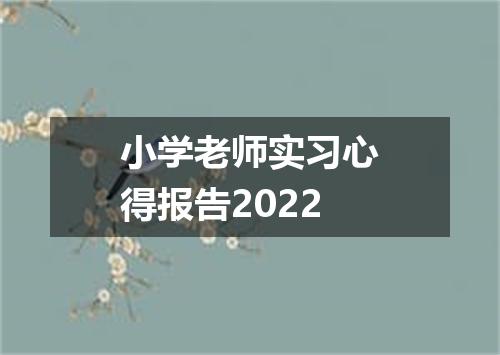 小学老师实习心得报告2022