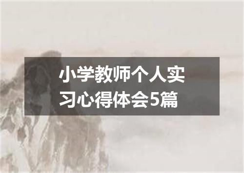 小学教师个人实习心得体会5篇
