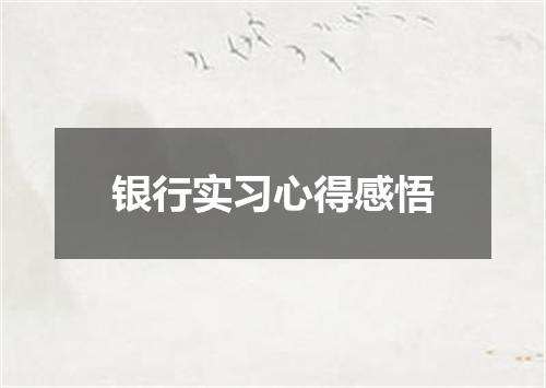 银行实习心得感悟