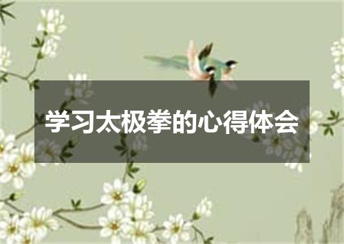 学习太极拳的心得体会