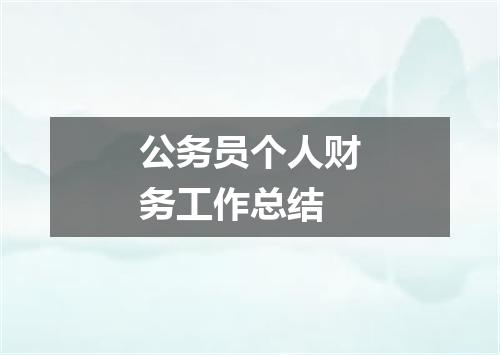 公务员个人财务工作总结