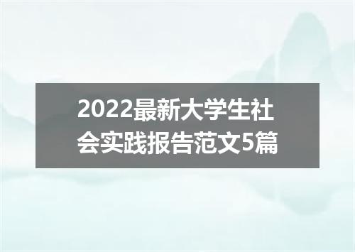 2022最新大学生社会实践报告范文5篇