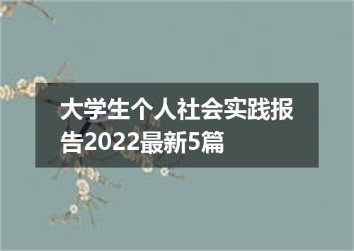 大学生个人社会实践报告2022最新5篇