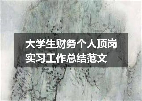 大学生财务个人顶岗实习工作总结范文