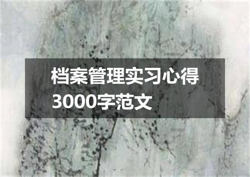 档案管理实习心得3000字范文