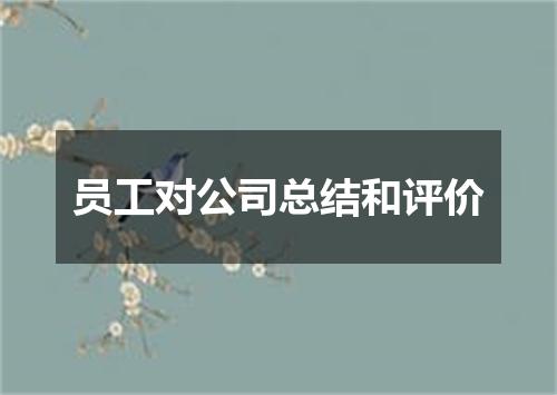 员工对公司总结和评价