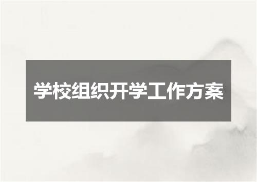 学校组织开学工作方案