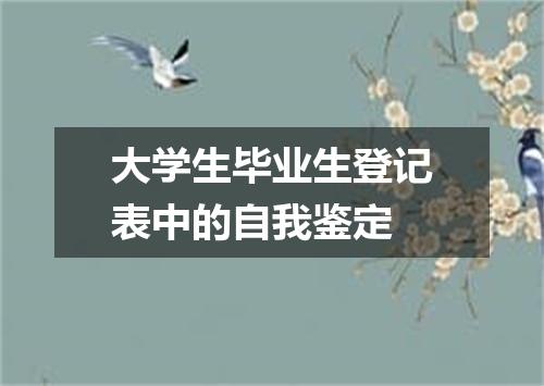 大学生毕业生登记表中的自我鉴定