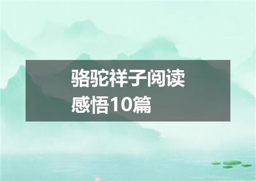 骆驼祥子阅读感悟10篇