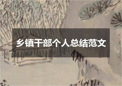 乡镇干部个人总结范文