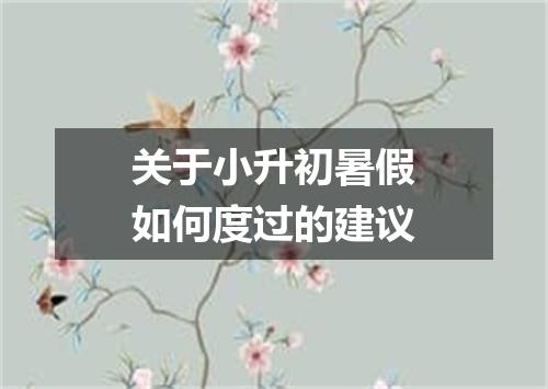 关于小升初暑假如何度过的建议