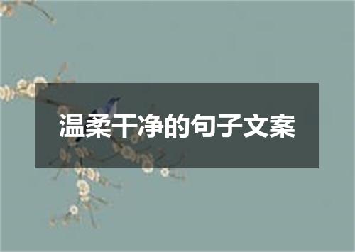 温柔干净的句子文案