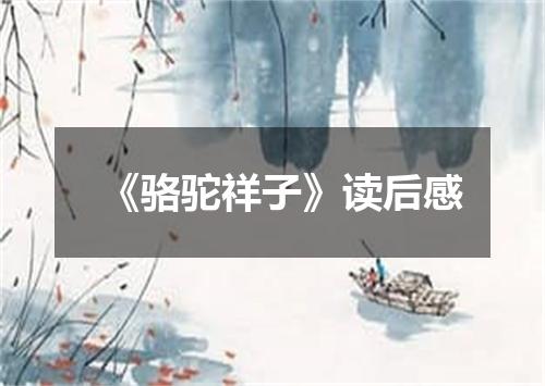 《骆驼祥子》读后感