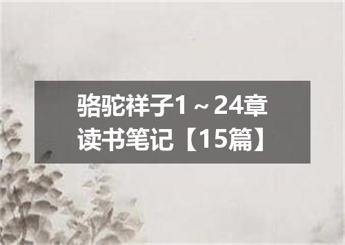 骆驼祥子1～24章读书笔记【15篇】