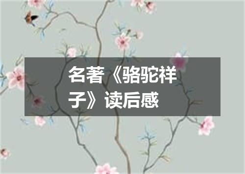 名著《骆驼祥子》读后感