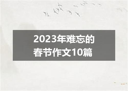 2023年难忘的春节作文10篇