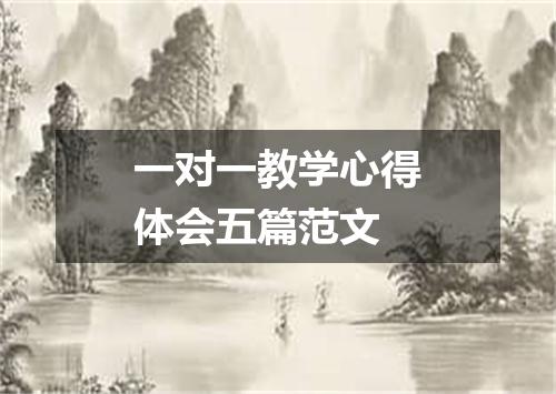 一对一教学心得体会五篇范文