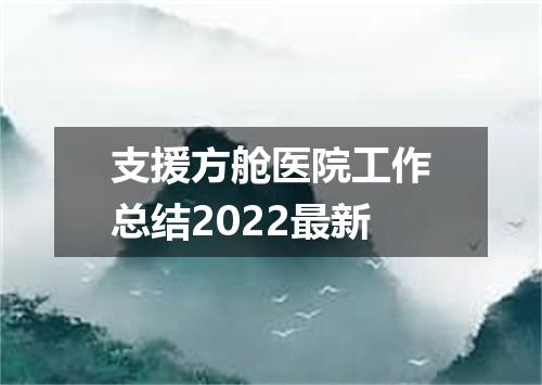 支援方舱医院工作总结2022最新
