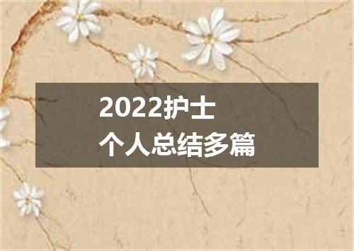 2022护士个人总结多篇
