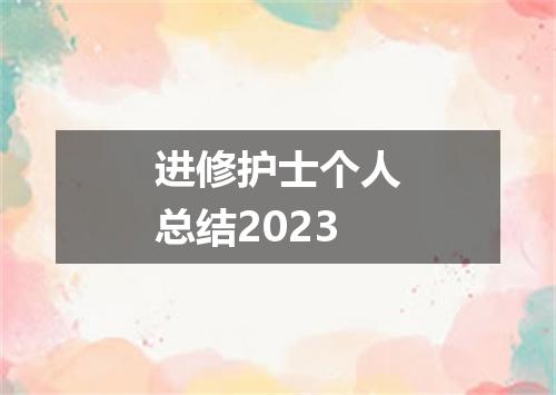 进修护士个人总结2023