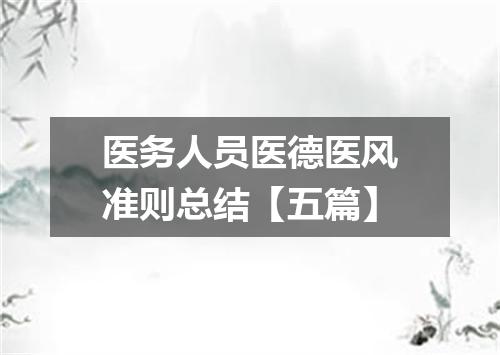 医务人员医德医风准则总结【五篇】