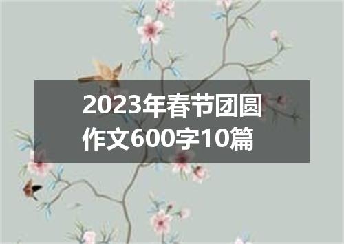 2023年春节团圆作文600字10篇