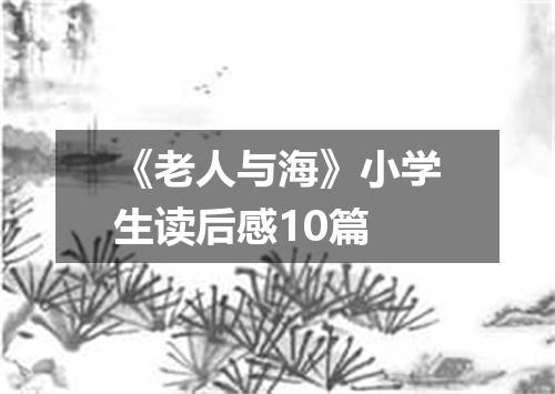 《老人与海》小学生读后感10篇