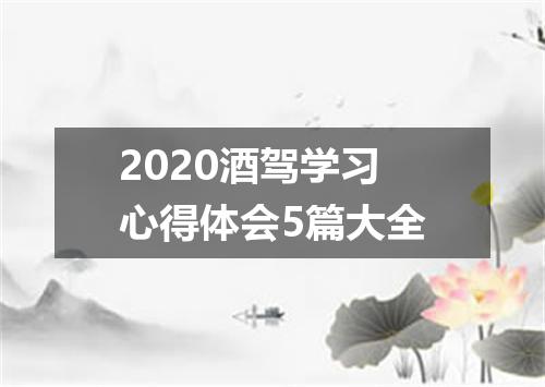 2020酒驾学习心得体会5篇大全