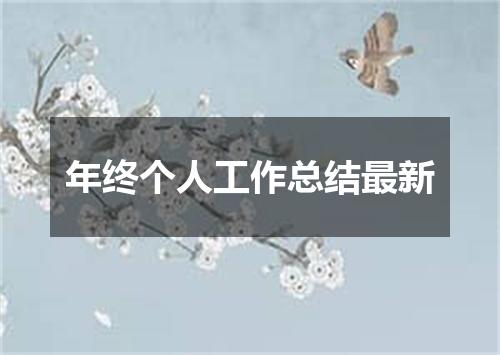 年终个人工作总结最新