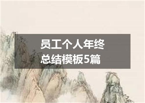 员工个人年终总结模板5篇