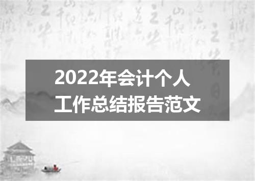 2022年会计个人工作总结报告范文