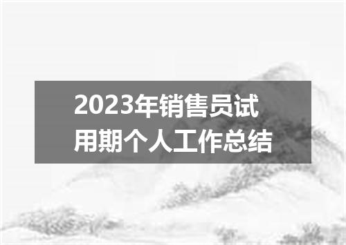 2023年销售员试用期个人工作总结