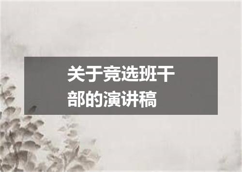 关于竞选班干部的演讲稿