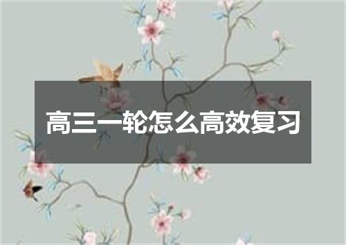 高三一轮怎么高效复习