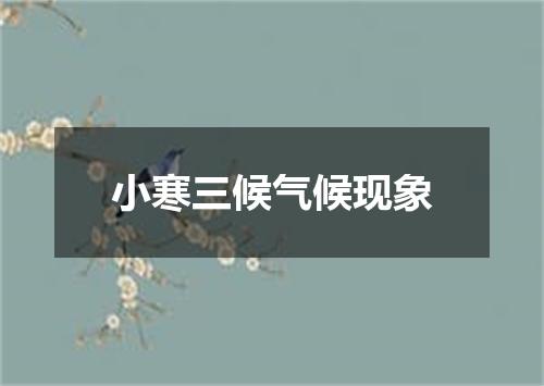 小寒三候气候现象
