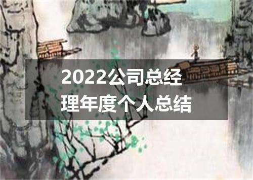 2022公司总经理年度个人总结