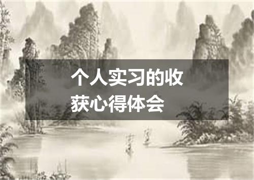 个人实习的收获心得体会