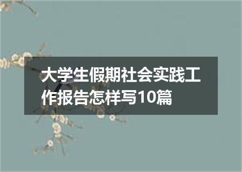 大学生假期社会实践工作报告怎样写10篇