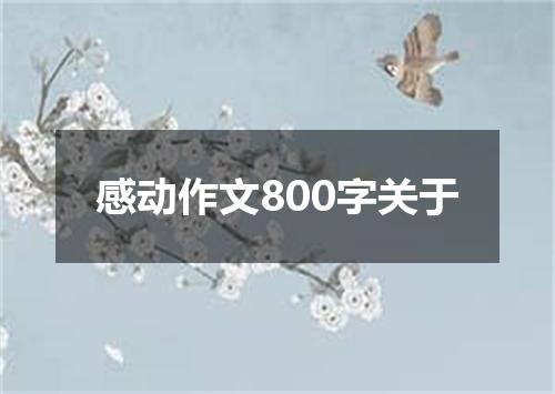 感动作文800字关于