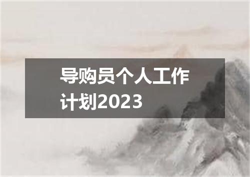 导购员个人工作计划2023