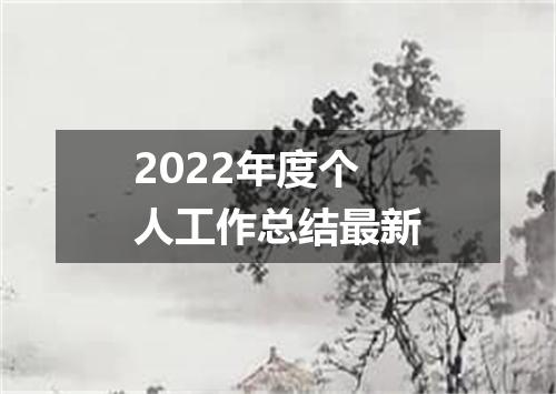 2022年度个人工作总结最新