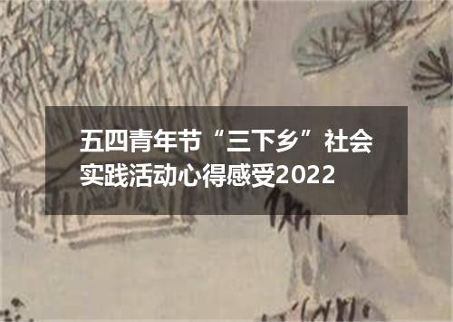五四青年节“三下乡”社会实践活动心得感受2022