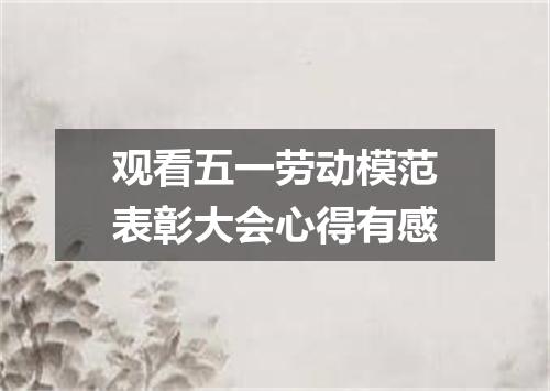 观看五一劳动模范表彰大会心得有感