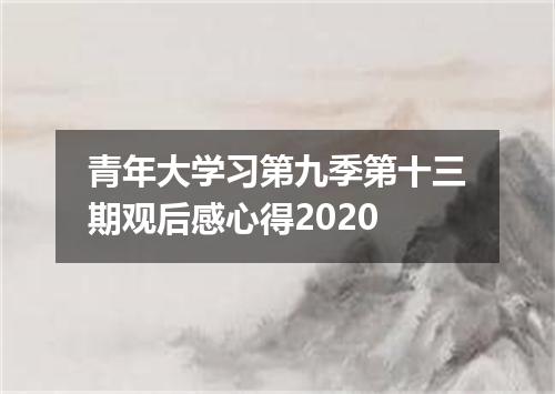 青年大学习第九季第十三期观后感心得2020