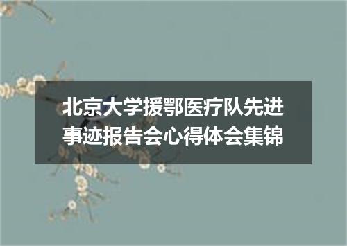 北京大学援鄂医疗队先进事迹报告会心得体会集锦
