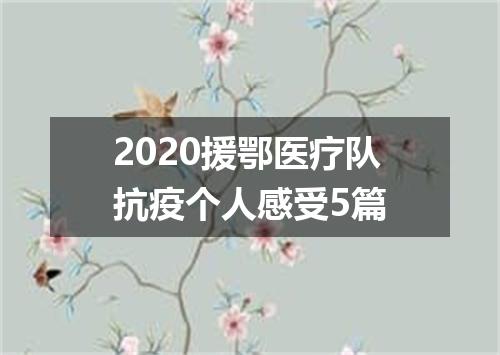 2020援鄂医疗队抗疫个人感受5篇